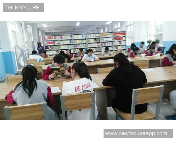 杨强的排球人生：从赛场到心灵的对话与反思